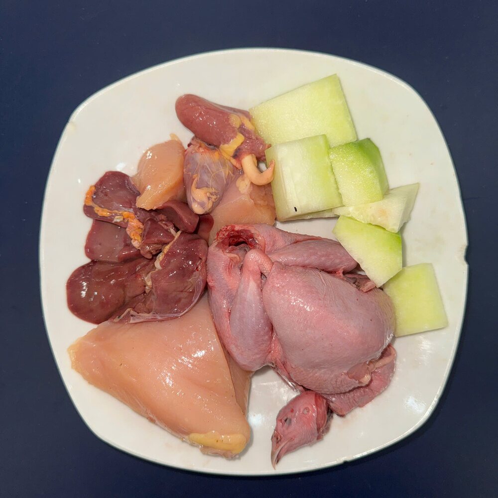 Nguyên liệu tươi vị Cút bí đao: thịt cút và bí đao human-grade